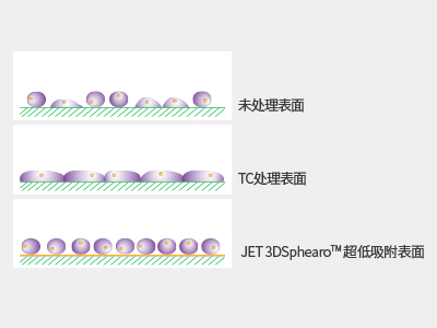 超低吸附表面具有共價(jià)結(jié)合的水凝膠層，具有極強(qiáng)的抗蛋白吸附性和抗細(xì)胞貼壁性，可有效抑制細(xì)胞附著