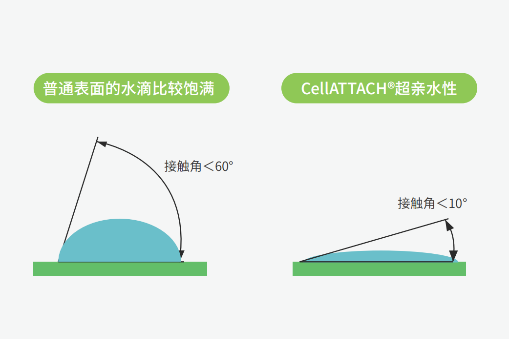 獨特的超親水表面處理技術(shù)，能為細胞提供更好的吸附性，促進細胞快速貼壁生長，提高產(chǎn)量
